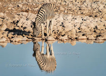 Load image into Gallery viewer, Etosha - at the water hole
